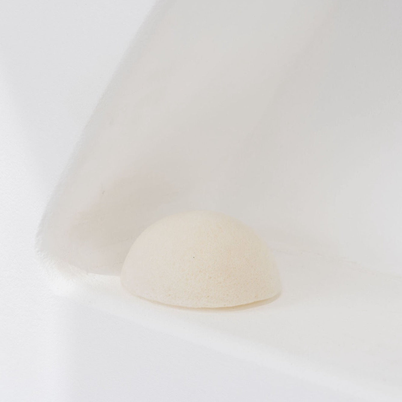 Konjac-sponge-milk